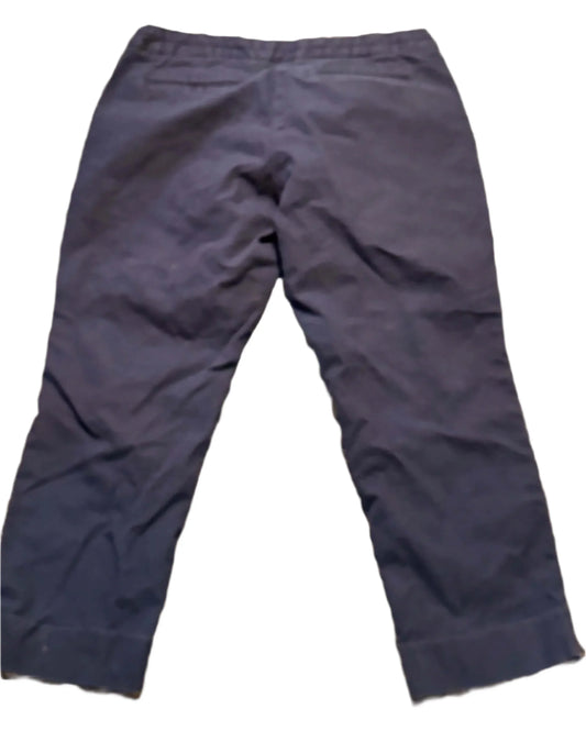 Navy chino petite pants, flat lay, back view, casual women's trousers