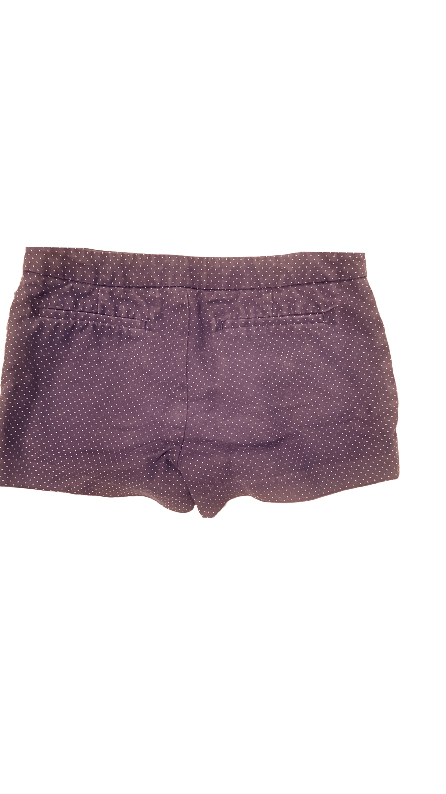 Cynthia Rowley Chino Shorts (size 2 petite) - The Petite Closet