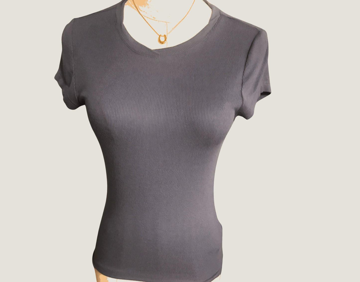 Fitted blue ribbed short sleeve top on mannequin, crew neck, plain background