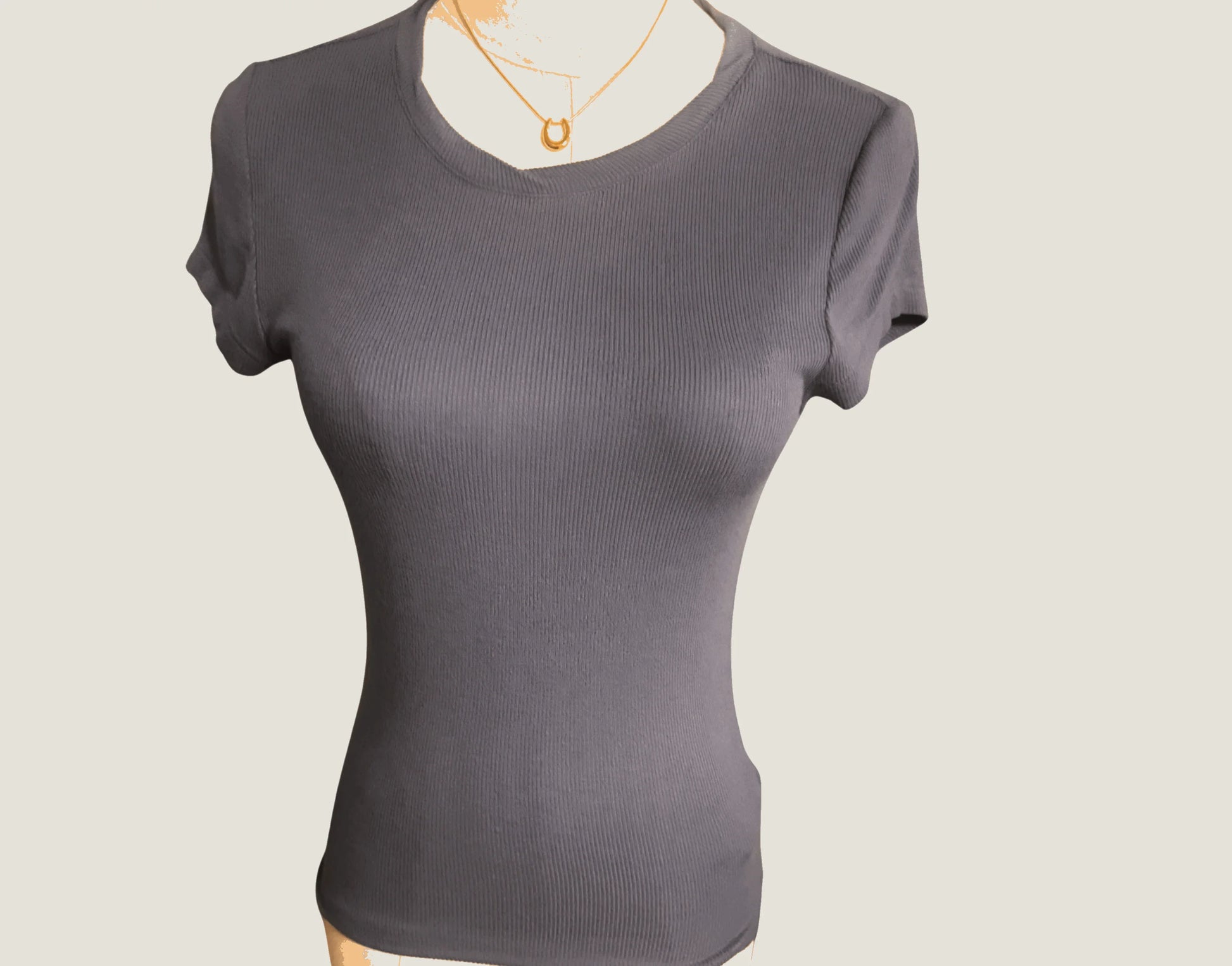 Fitted blue ribbed short sleeve top on mannequin, crew neck, plain background