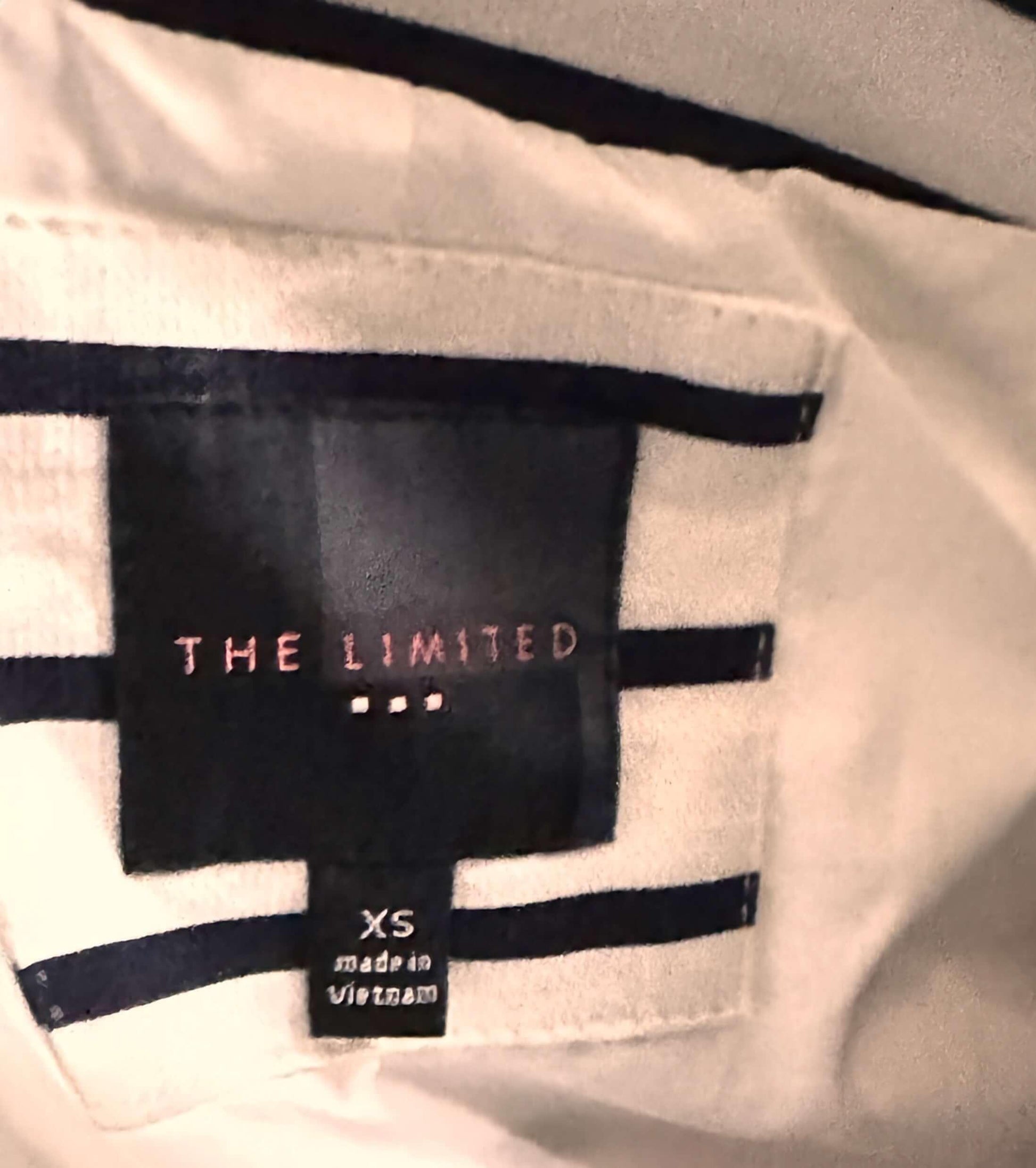 The Limited Blazer Jacket (size ex small petite) - The Petite Closet